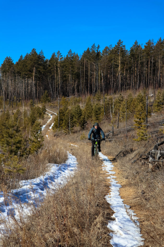 едем на велосипедах по зимнему лесу